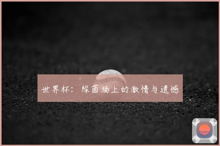 世界杯:绿茵场上的激情与遗憾