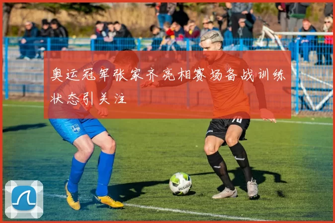 奥运冠军张家齐亮相赛场备战训练状态引关注