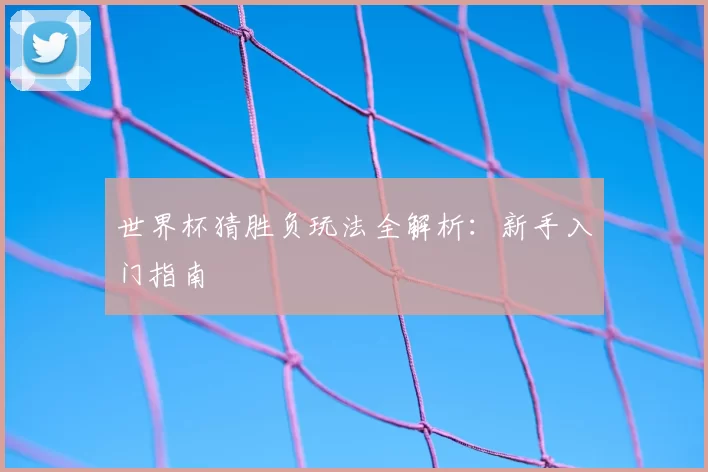 世界杯猜胜负玩法全解析:新手入门指南