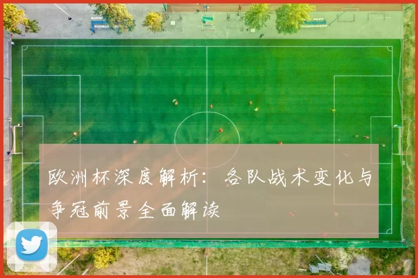 欧洲杯深度解析:各队战术变化与争冠前景全面解读