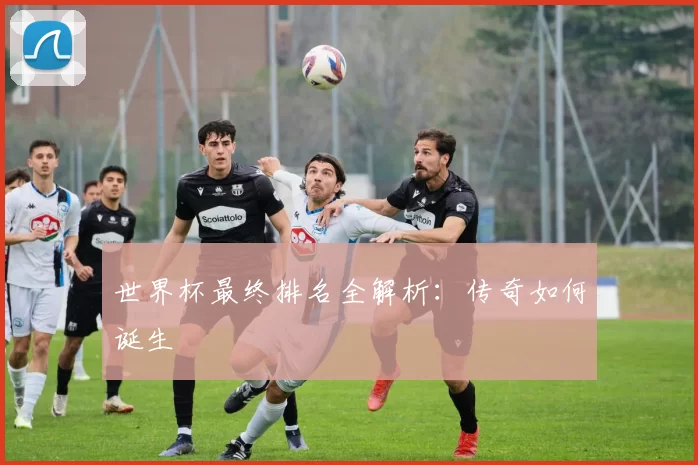世界杯最终排名全解析:传奇如何诞生