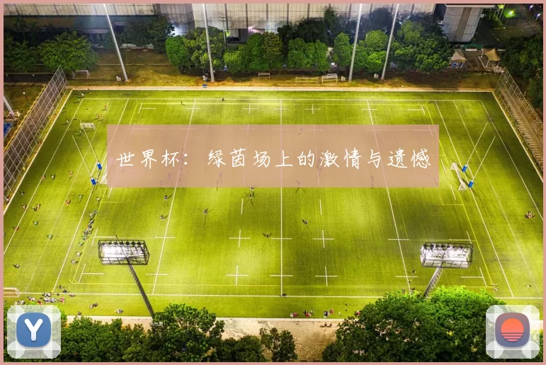 世界杯:绿茵场上的激情与遗憾