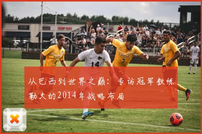 从巴西到世界之巅:专访冠军教练勒夫的2014年战略布局