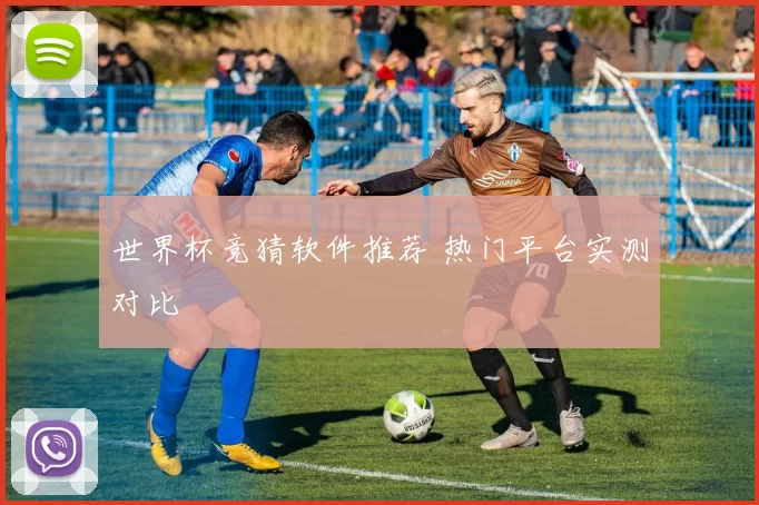 世界杯竞猜软件推荐 热门平台实测对比