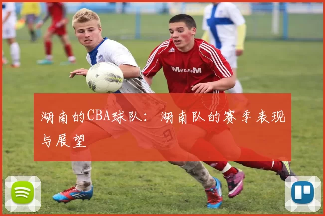 湖南的CBA球队：湖南队的赛季表现与展望