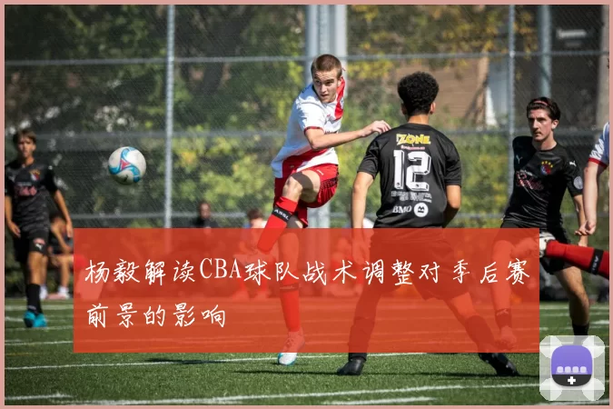 杨毅解读CBA球队战术调整对季后赛前景的影响