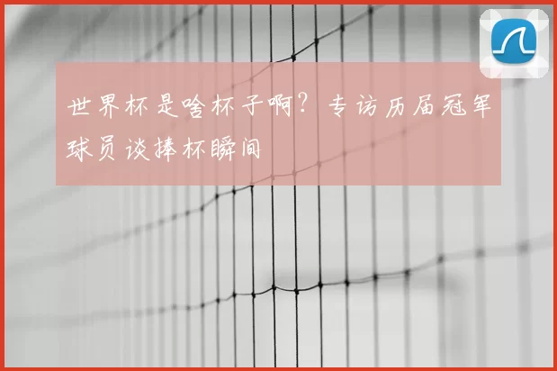 世界杯是啥杯子啊?专访历届冠军球员谈捧杯瞬间