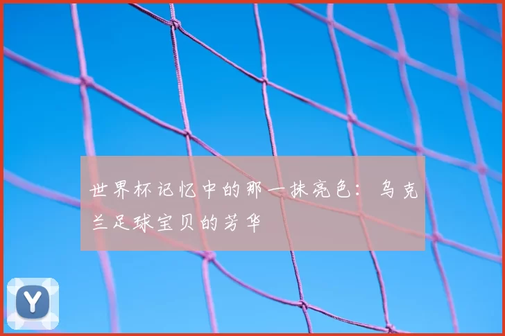 世界杯记忆中的那一抹亮色:乌克兰足球宝贝的芳华