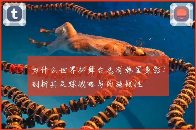 为什么世界杯舞台总有韩国身影?剖析其足球战略与民族韧性