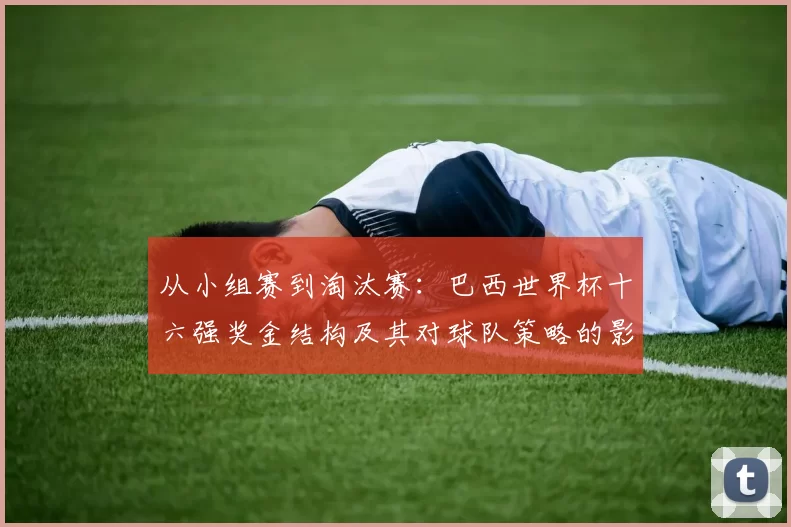 从小组赛到淘汰赛:巴西世界杯十六强奖金结构及其对球队策略的影响