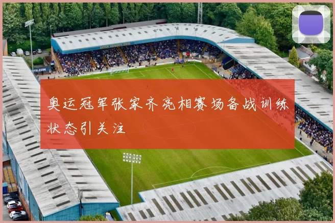 奥运冠军张家齐亮相赛场备战训练状态引关注